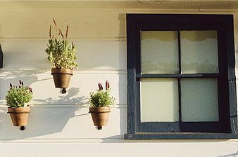 Terracotta Herb Pots on White Wall Next to Window