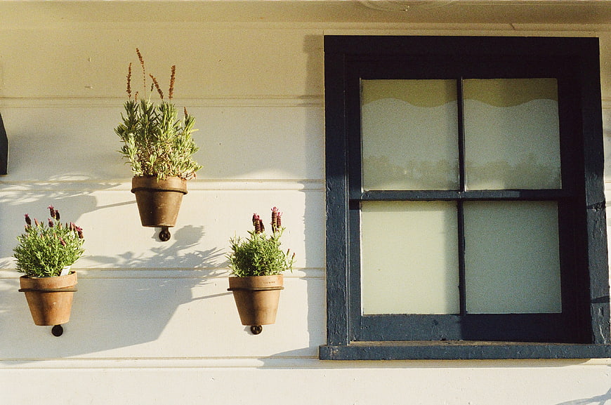 Terracotta Herb Pots on White Wall Next to Window