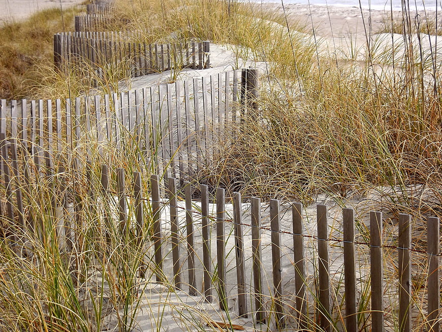 Wooden Sand Fences in Coastal Dune Grasses