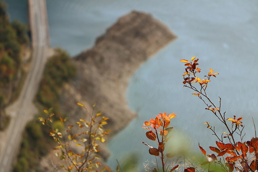 Autumn foliage with blurred coastal road and rocky island background