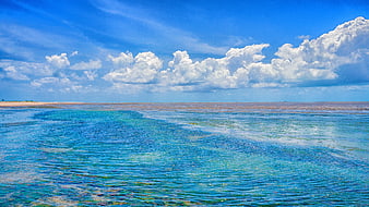 Tropical Beach Landscape with Turquoise Water and Blue Sky