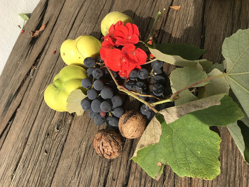 Autumn Harvest Still Life with Quince, Grapes, and Walnuts