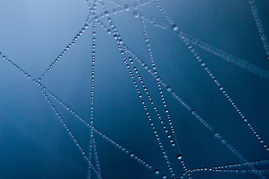 Abstract Blue Water Droplets on Spider Web