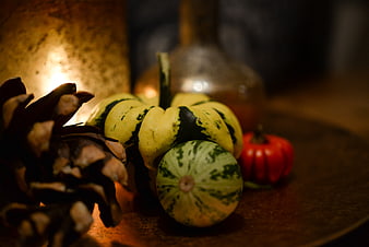 Autumn Harvest Still Life with Gourds and Pinecone