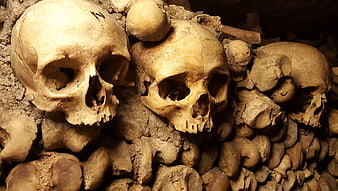 Stacked Human Skulls and Bones in Catacombs
