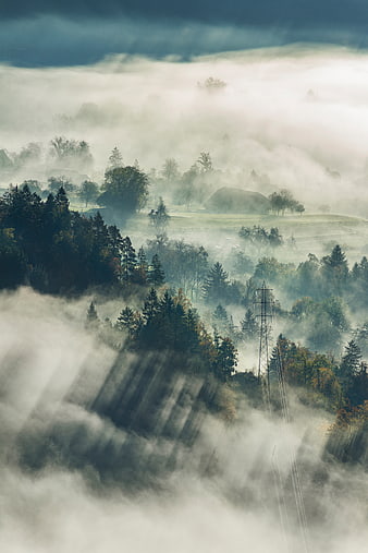 Misty Mountain Landscape with Forest and Power Lines