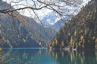 Autumn landscape of turquoise lake with mountains and trees