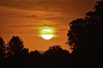 Vibrant orange sunset with sun silhouette over trees