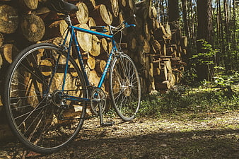 Blue Bicycle Leaning Against Woodpile in Forest