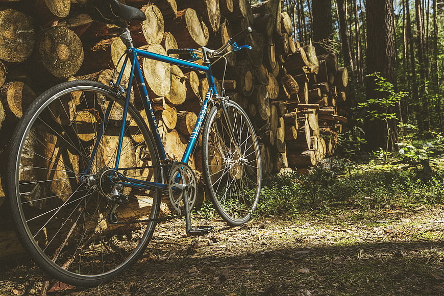 Blue Bicycle Leaning Against Woodpile in Forest