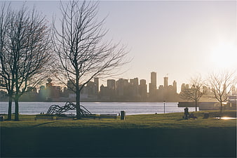Sunrise over city skyline from waterfront park with bare trees