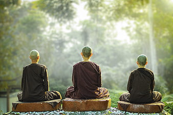 Three Buddhist Monks Meditating in a Misty Green Forest
