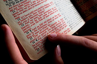 Close-up of hand reading Bible text with finger pointing