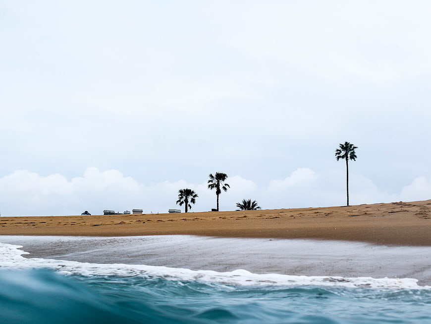 Low angle ocean waves crashing on sandy beach with palm trees