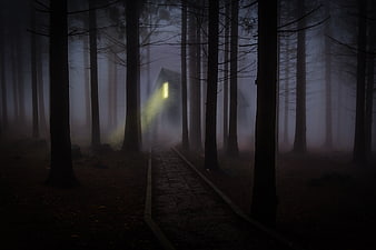 Mysterious lit cabin in foggy forest at night