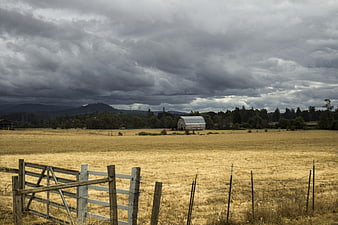 Weathered Barn in Golden Field Under Stormy Sky