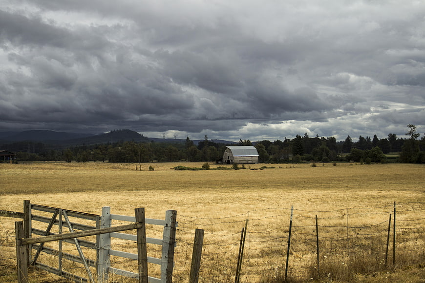 Weathered Barn in Golden Field Under Stormy Sky