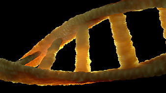 3D Render of Golden DNA Double Helix Molecule