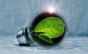 Green leaf inside lightbulb symbolizing eco-friendly energy