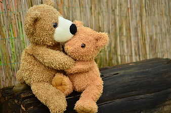 Two teddy bears hugging on a wooden log outdoors