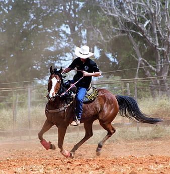 Cowboy Riding Brown Horse in Dusty Arena