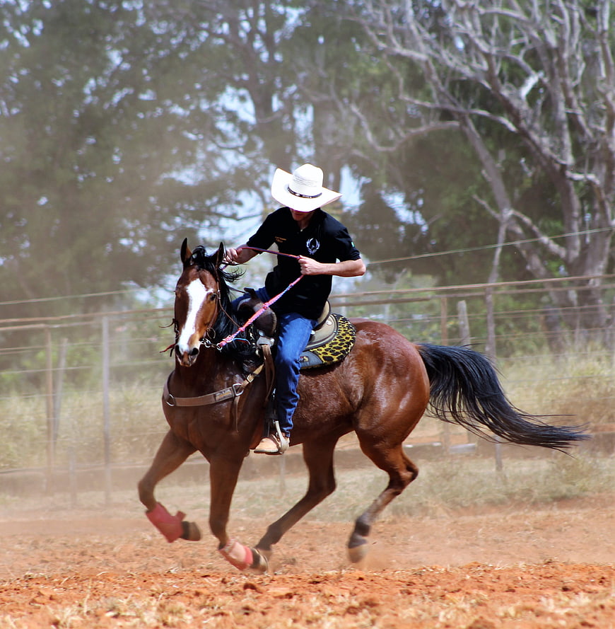 Cowboy Riding Brown Horse in Dusty Arena