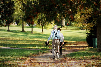 Senior Couple Nordic Walking in Autumn Park