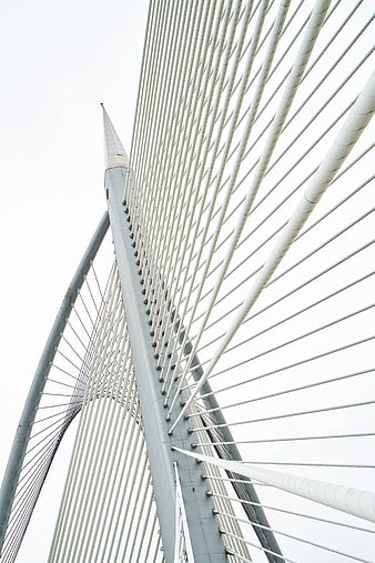 Low angle view of white cable-stayed bridge tower