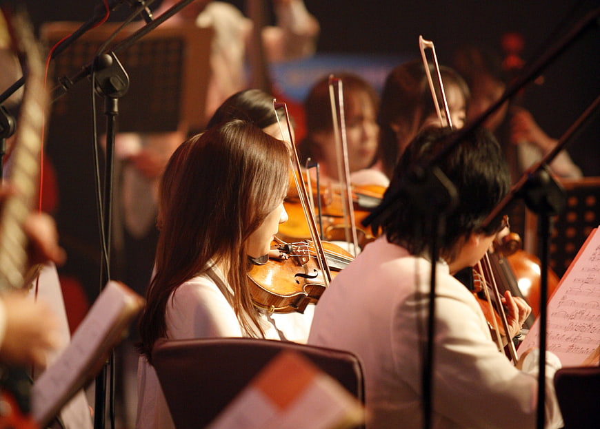 Orchestra Musicians Playing Violins in Concert