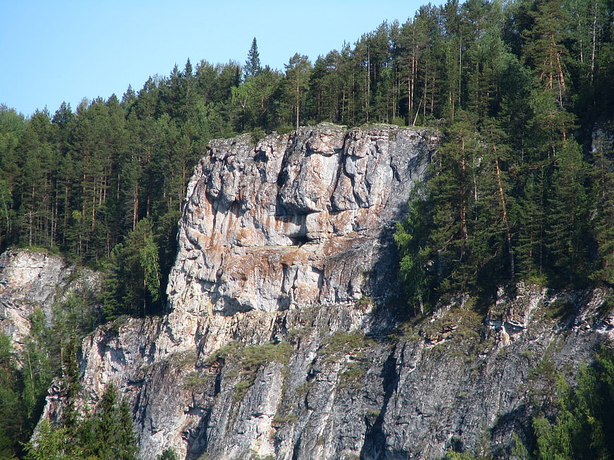 Steep rocky cliff face surrounded by dense pine forest
