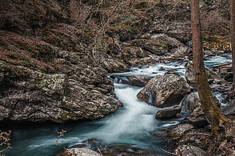 Long exposure stream flowing through rocky forest landscape