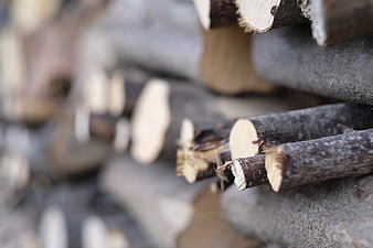 Close-up of stacked firewood logs with shallow depth of field