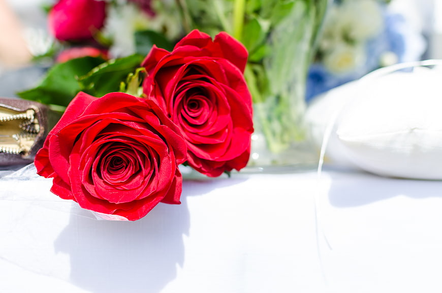 Two vibrant red roses on a white table with blurred background