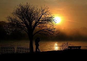 Silhouette of couple embracing under tree at sunset by lake