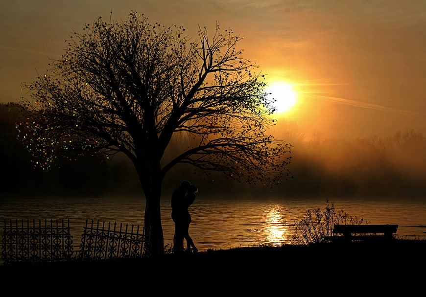 Silhouette of couple embracing under tree at sunset by lake