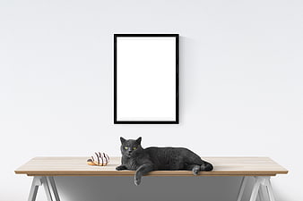 Minimalist Interior Mockup With Black Cat On Wooden Desk