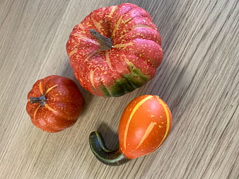 Colorful heirloom pumpkins and gourds on wood
