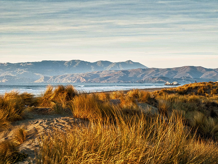 Golden Beach Grass Dunes with Ocean and Mountains