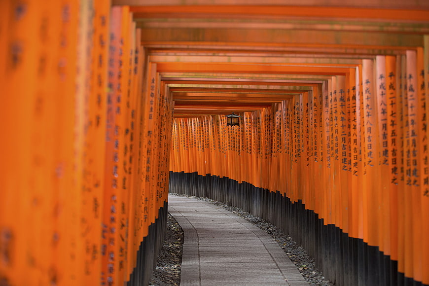 Pathway through vibrant orange torii gates at Fushimi Inari Shrine
