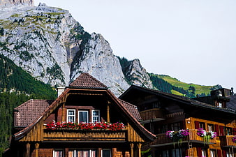 Traditional Alpine Chalet with Flower Boxes Against Mountain