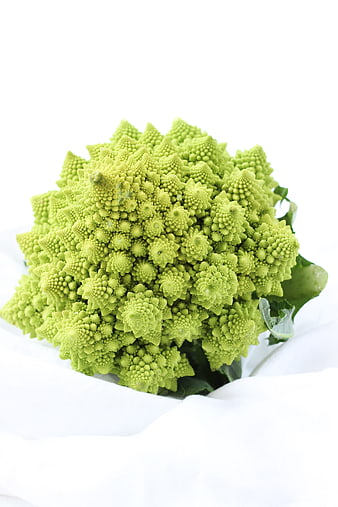 Fresh Romanesco Broccoli on White Background