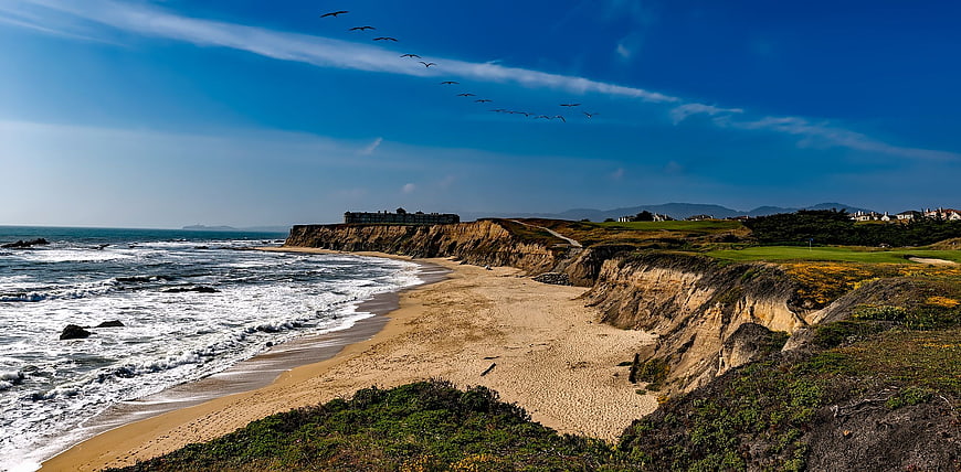 Coastal Cliffs and Beach with Flying Birds