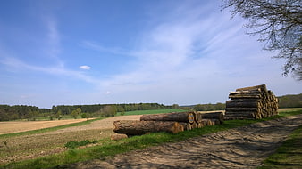 Stacked Logs in Rural Landscape with Blue Sky