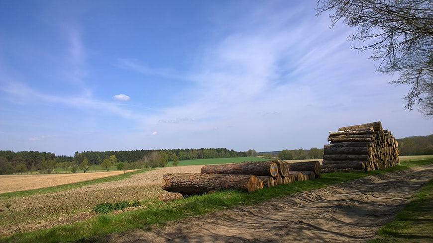 Stacked Logs in Rural Landscape with Blue Sky