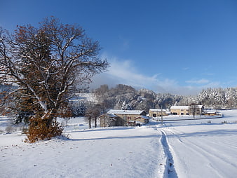 Serene Winter Landscape with Snowy Farmhouses and Blue Sky