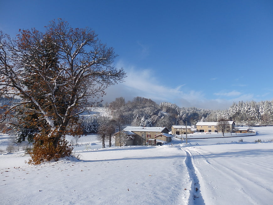 Serene Winter Landscape with Snowy Farmhouses and Blue Sky
