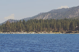 Serene lake landscape with pine forest and mountain backdrop