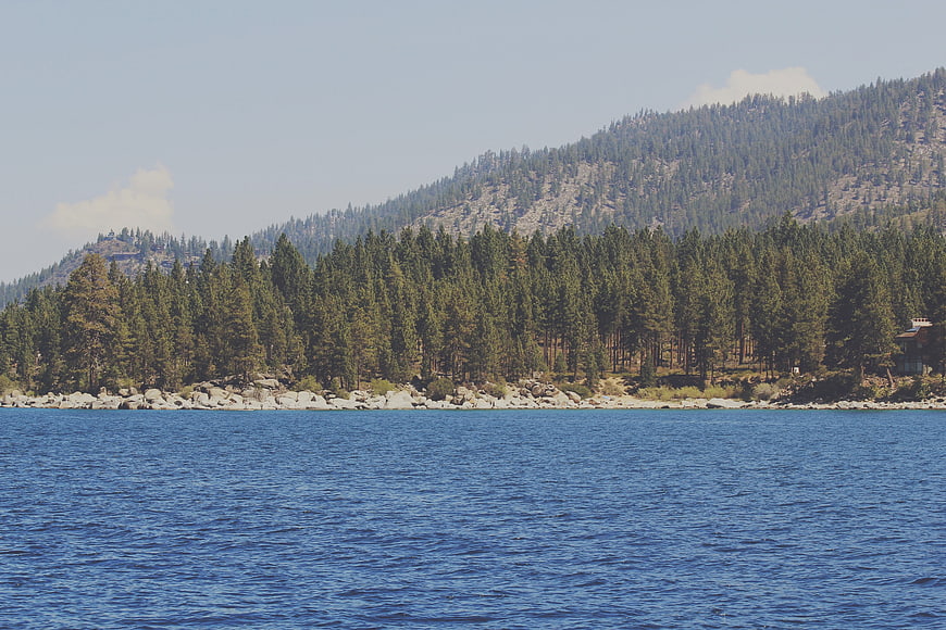 Serene lake landscape with pine forest and mountain backdrop
