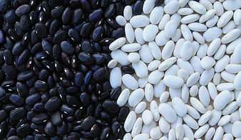 Black and White Beans Split Composition Texture