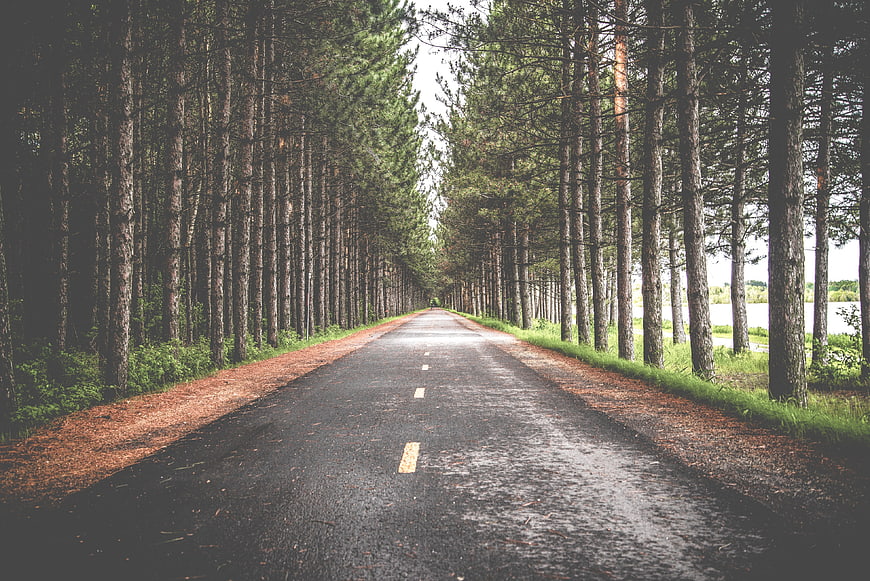 Asphalt Road Through Pine Forest with Lake View
